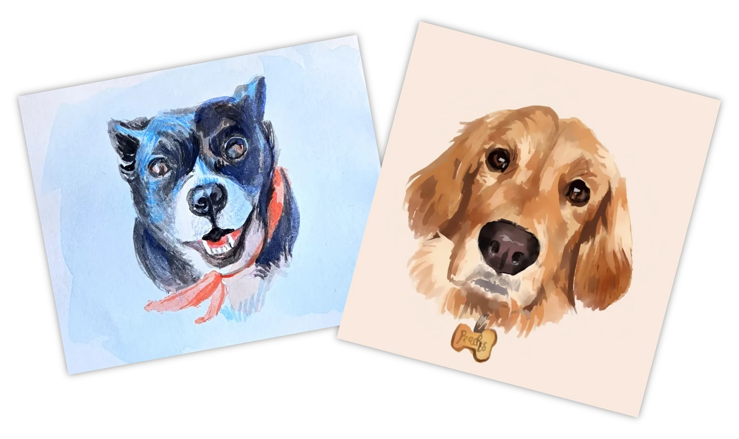 Pet portrait example